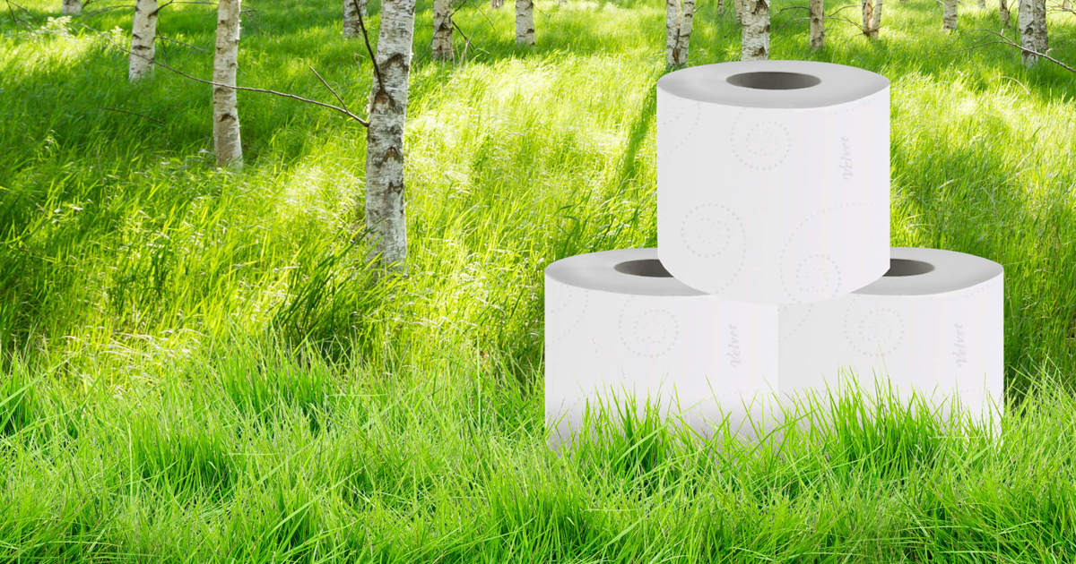 Making More Sustainable Toilet Paper & Tissues Velvet